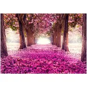 Kärkkäinen Artgeist Pink Path itseliimautuva fototapetti