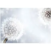 Kärkkäinen Artgeist Unpredictable moments itseliimautuva fototapetti