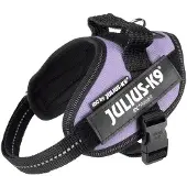 JULIUS K-9 Idc Power Mini Koiran Valjaat