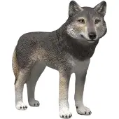 Schleich WILD LIFE 14991, 3 vuosi/vuosia, Monivärinen, Muovi