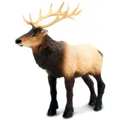 Safari Ltd Moose Kuvio