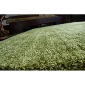 Rugsx Matto SHAGGY NONA vehreys, 80x150