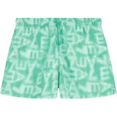 EA7 for man. 7M001715_AF21250 Sports swimming costume green (XXL), Beachwear, Polyester