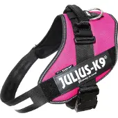 Julius-K9 Idc Power Koiran Valjaat