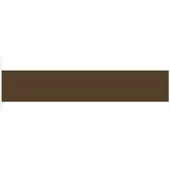 Daler Rowney Graduate Acrylic 120 ml Raw Umber