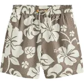 Next Uimashortsit beige / valkoinen