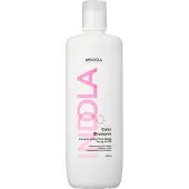 Indola Color Shampoo väriä suojaava shampoo 1000 ml