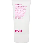 Evo Lockdown Leave In Smoothing Treatment 150ml