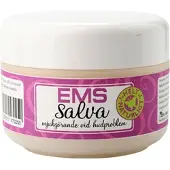 Ion Silver EMS salva 250 ml