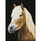 Diamond Dotz Chester 34,00 x 47,00 cm timanttityö