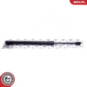 ESEN SKV Kaasujousi, tavaratila 52SKV751