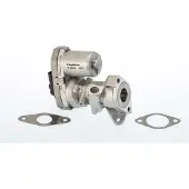 BORGWARNER EGR-venttiili WAHLER 711022D