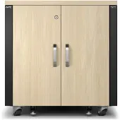 APC NETSHELTER CX 12U SECURE SOUNDPROOFED SERVER RACK ENCLOSURE (AR4012A)