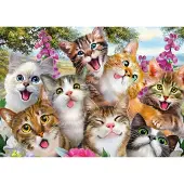 Schmidt Cat Selfie 500p palapeli