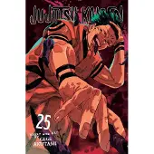 BOKUS Jujutsu Kaisen, Vol. 25