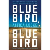 Bluebird, Bluebird