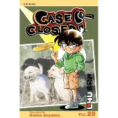 Aoyama, Gosho Case Closed, Vol. 29