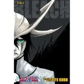 Kubo, Tite Bleach (3-in-1 Edition), Vol. 14