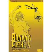 Viz Media, Subs. of Shogakukan Inc Banana Fish, Vol. 19