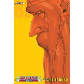 Kubo, Tite Bleach (3-in-1 Edition), Vol. 20