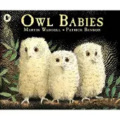 Walker Books Owl Babies: Over two million copies sold - a heartwarming bedtime picture book story that comforts and reassures - also the perfect gift for toddlers and new parents