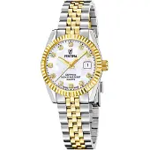 Festina Swiss Classic Steel F20088/1