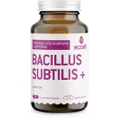 ECOSH Bacillus Subtilis + 90 kaps ravintolisä
