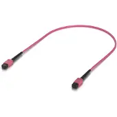 Ubiquiti UACC-OFC-MA-MPMP-0.5M-10 InfiniBand- ja kuituoptiikkakaapeli 0,5 m Ruusu (UACC-OFC-MA-MPMP-0.5M-10)