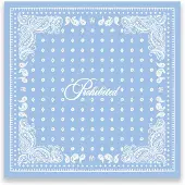 Prohibited Scarf - Blue - ONE SIZE