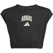 Adidas Seasonals Collegiate Typography Lyhythihainen T-paita