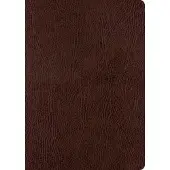 Bookoutlet ESV Single Column Journaling Bible, Large Print