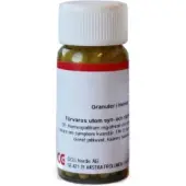 Dcg Berberis Vulgaris D30 / H269FI 20g homeopaattinen valmiste