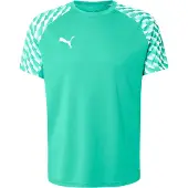 Puma Toiminnallinen paita 'teamLIGA26' smaragdi / valkoinen