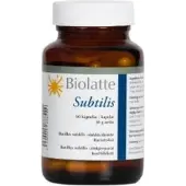 Biolatte Subtilis