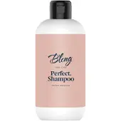 BLONG HAIR CARE Perfect. Shampoo 300 ml