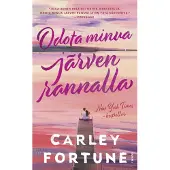 Odota minua järven rannalla