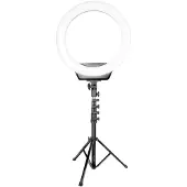 Dacota Platinum rengasvalo jalustalla 19"