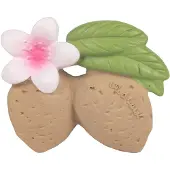 Oli & Carol Aly The Almond - Multi/patterned - 8.8X 7X 3.3CM