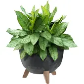 Kadax Musta kukkaruukku 29cm sisäkkeellä ja jaloilla