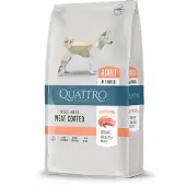 Quattro Extra Salmon koiran kuivaruoka lohella, 12 kg