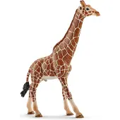 Schleich Giraffe Male - Multi/patterned - ONE SIZE