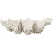 J-Line Deco Bowl Seashell Res Wh S - White - H18CM