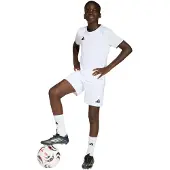 Adidas Entrada 26 Shortsit