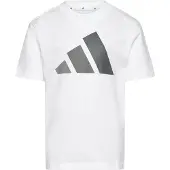 Adidas Essentials Graphic Lyhythihainen T-paita