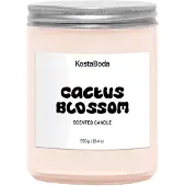 Kosta Boda Mind tuoksukynttilä Cactus Blossom, 550 g