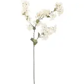 Bloomingville Myrtle Stem - White - H100CM