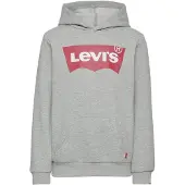 Levi's Screenprint Batwing Pullover Hoodie - Grey - 98