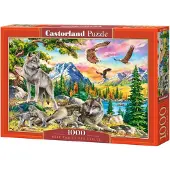 Castorland Wolf Family and Eagles 1000p palapeli