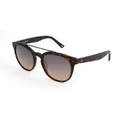WEB EYEWEAR Aurinkolasit WE0146 52/19/140 Havana asetaatti UNISEX WE0146