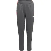 Puma Individualliga Training Pants Jr - Grey - 176